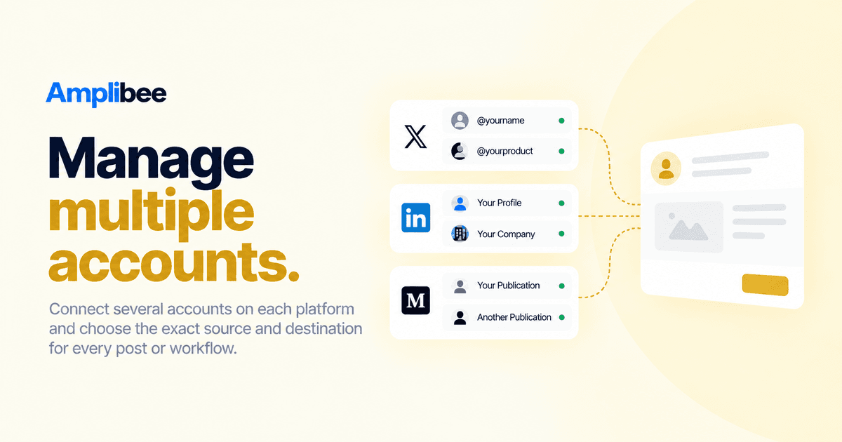 Multiple accounts per platform